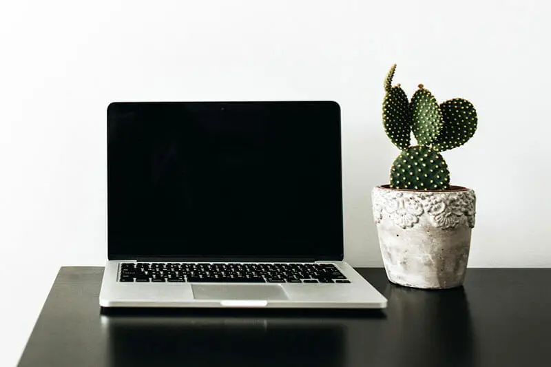 cactus next to a macbook on a white desk